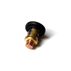 Thermostaat geschikt voor als vervanger voor Yamaha 50, 60, 70 PK(6H3-12411-11)